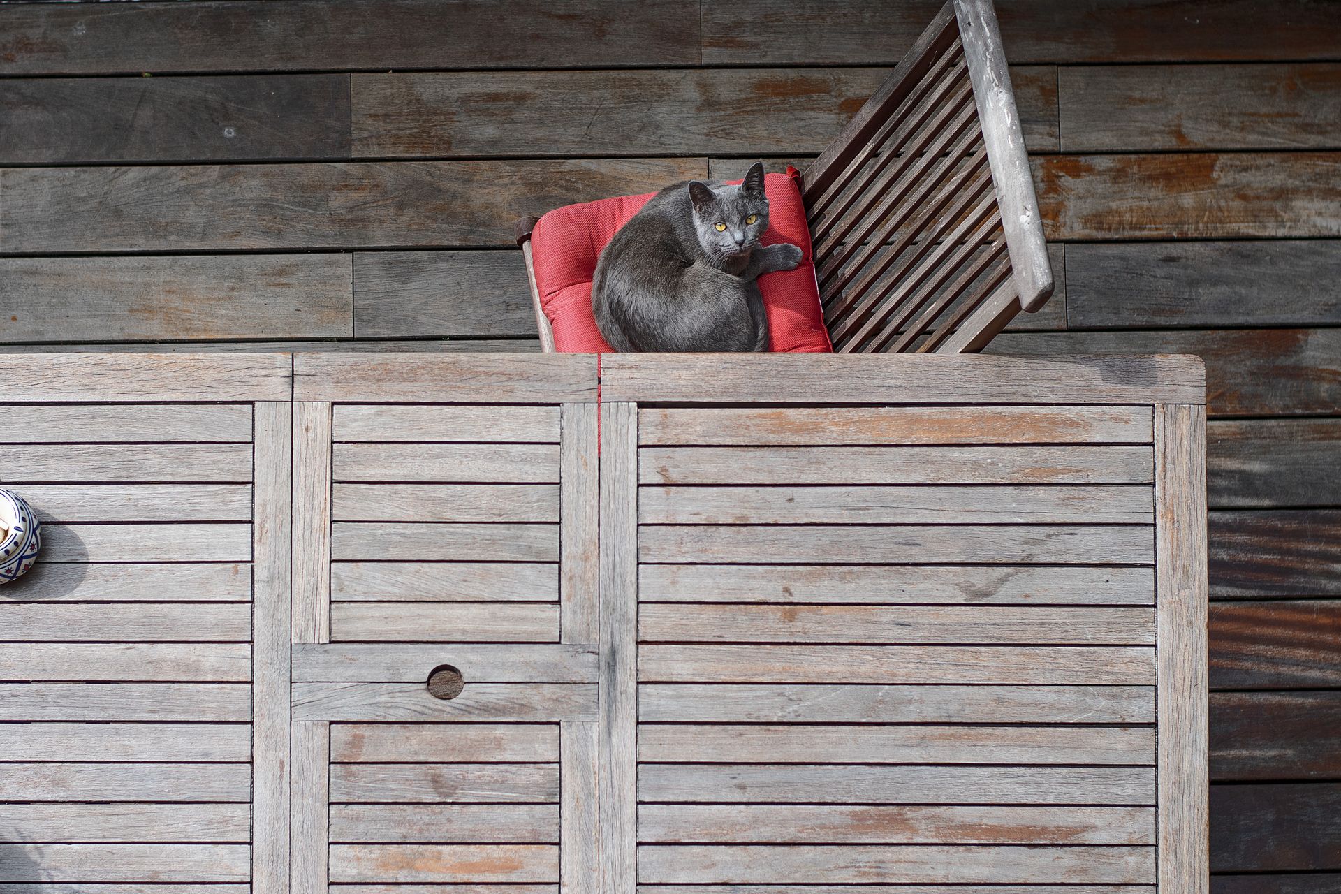 Top view of a grey cat lounging on a wooden chair with a red cushion on a rustic deck.