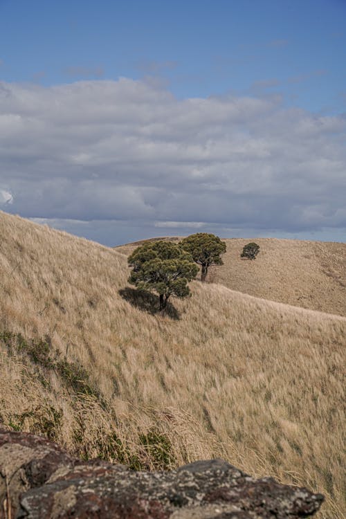 Clouds over Hills