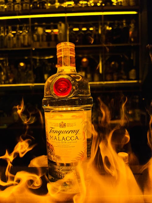 Free stock photo of fire, gin