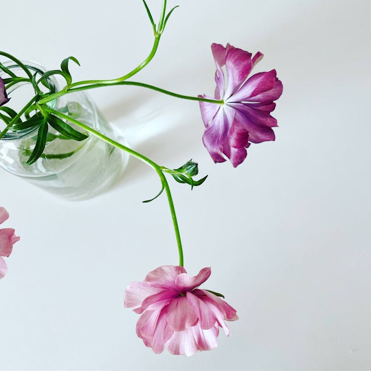 Purple Flowers In Jar