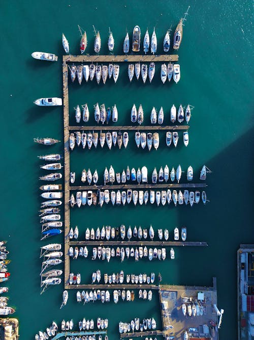 Boats and Yachts in Marina