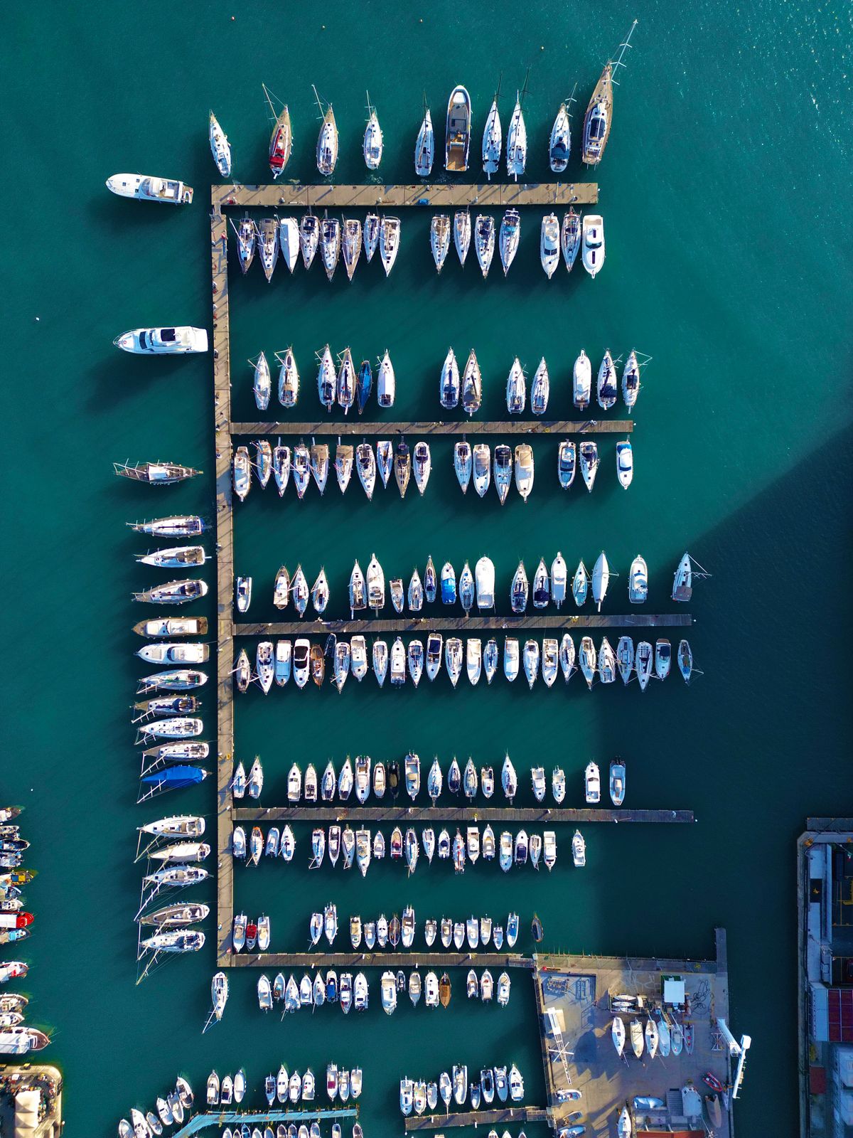 Flota de barcos y yates en puerto deportivo