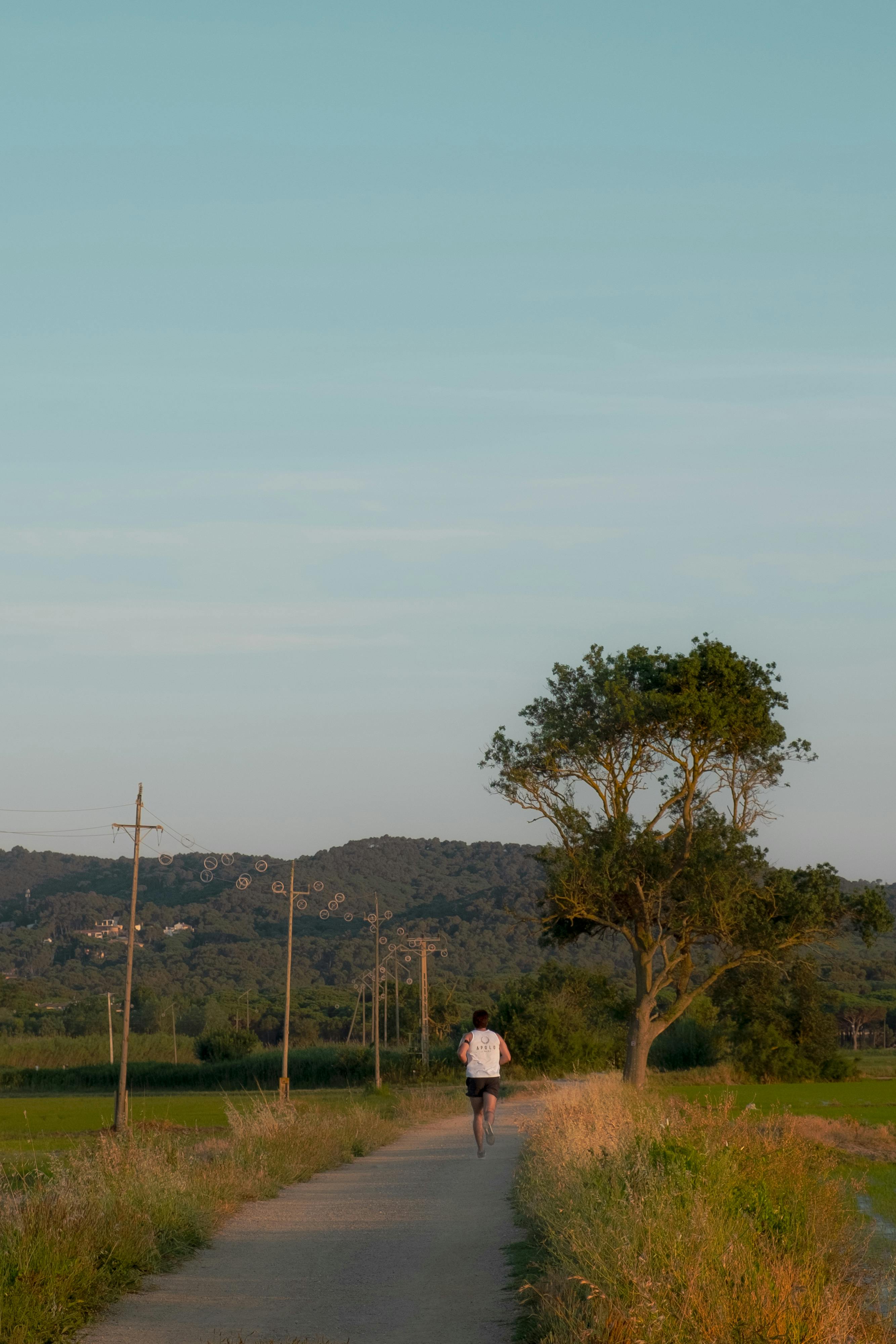 A man jogs on a rural path lined with trees, under a clear blue sky during sunset.