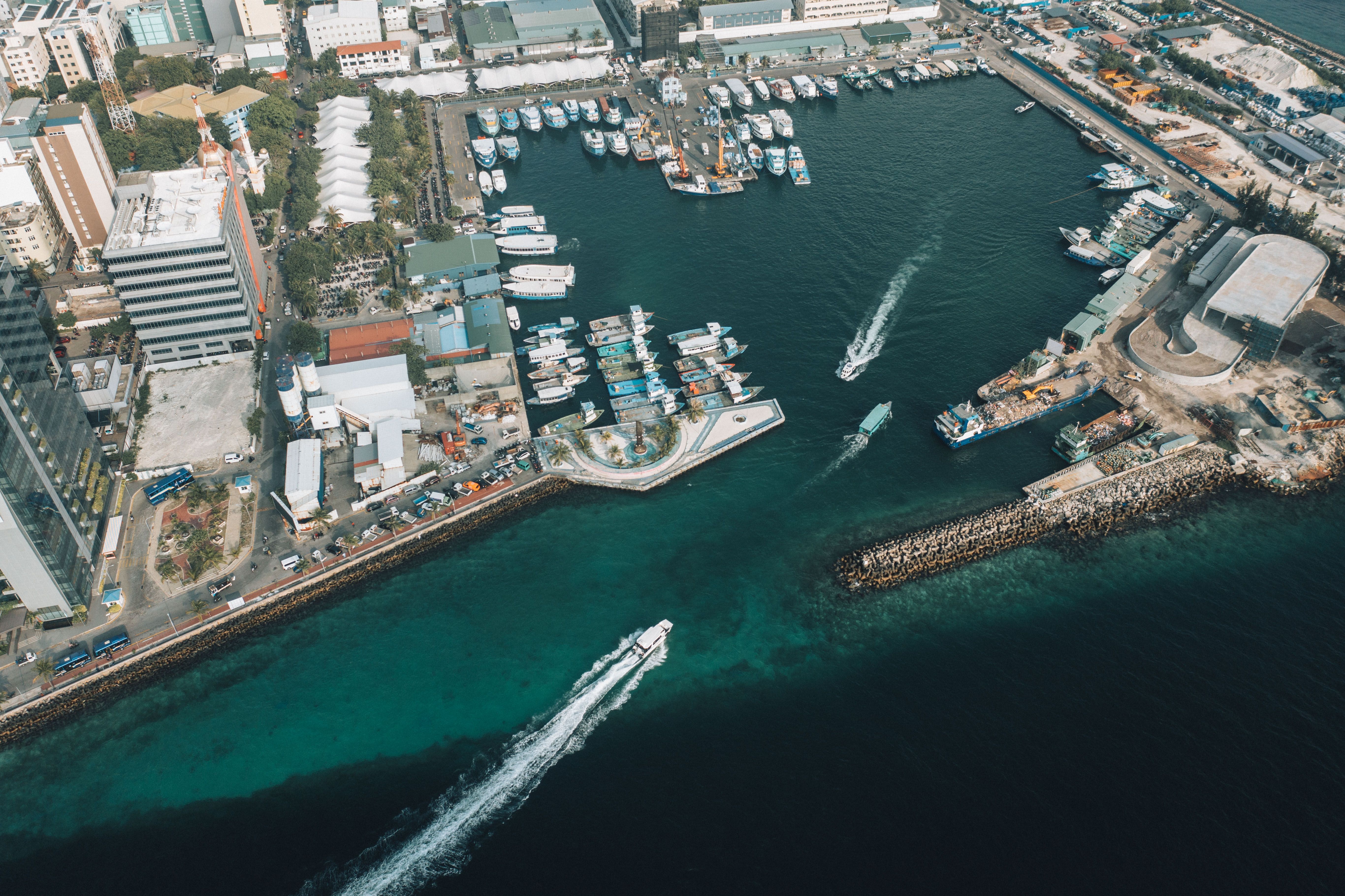 Professional Certificate in Port Marketing and Business Development