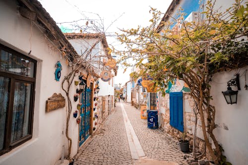 Cobblestone Alley in Town