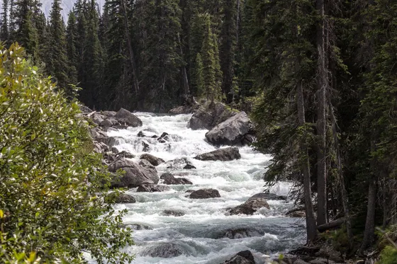 McDonald Creek · churning with the spring melt McDonald Creek running high with spring snowmelt