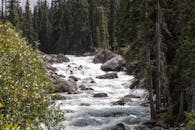 森林中充满生机，岩石上瀑布飞泻，四周环绕着郁郁葱葱的绿色植物