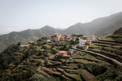 Village and Terraced Fields on a Hill