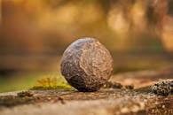 Tilt Shift Lens Photography of Stone
