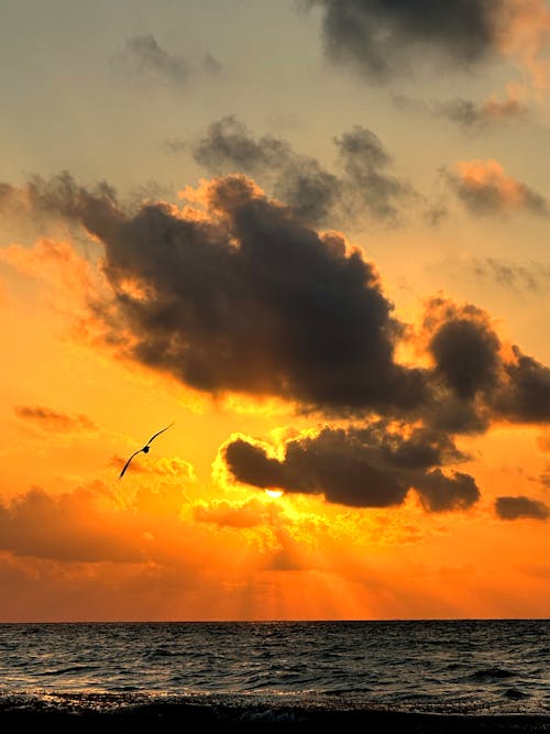 akşam, Batan güneş, bulutlar içeren Ücretsiz stok fotoğraf