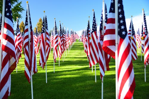 Foto stok gratis barisan, Bendera Amerika, halaman rumput