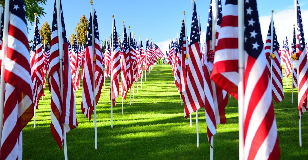 Flagging Trees Row American Flags in Rows · Free Stock Photo