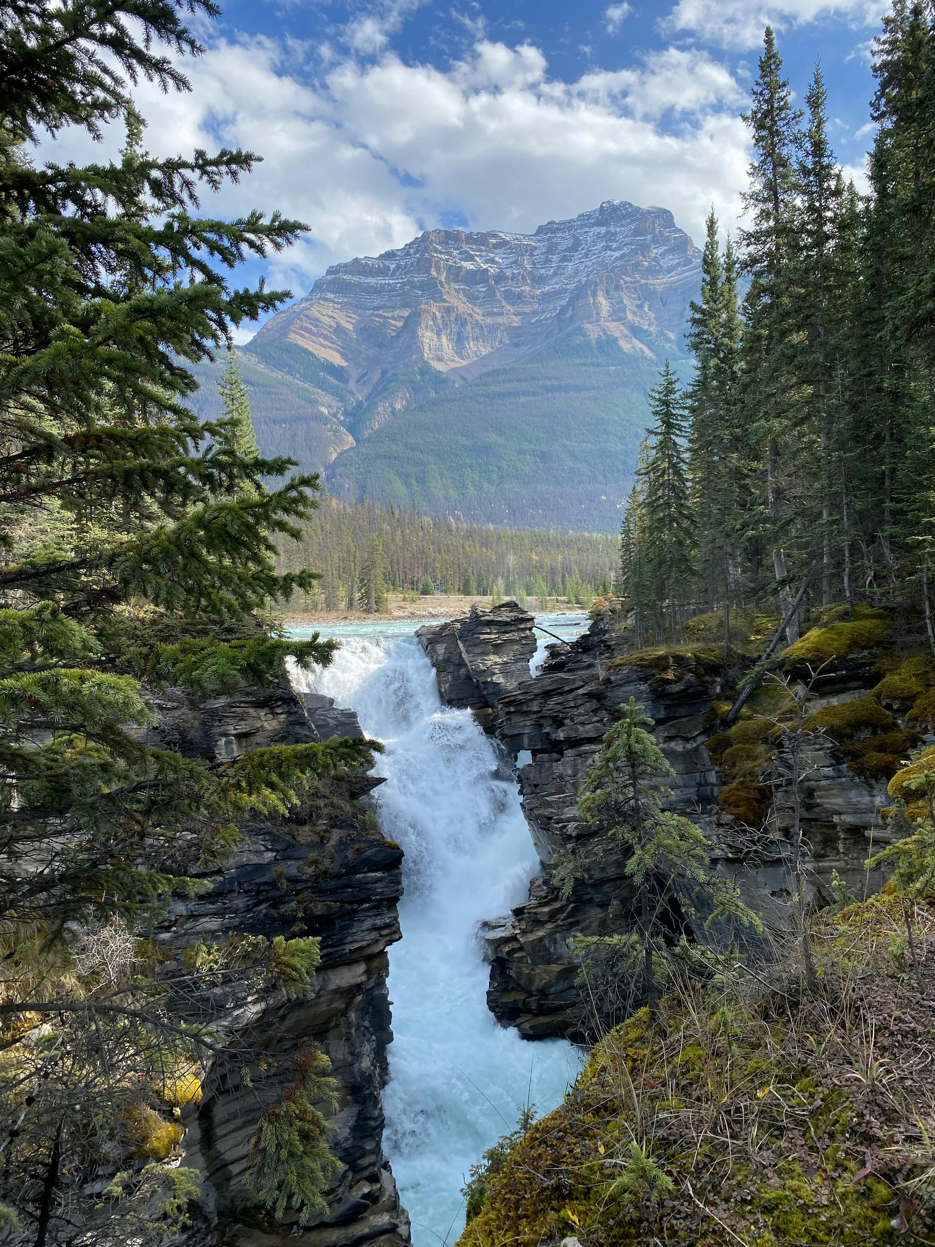 wildberries-sq - Visit Athabasca