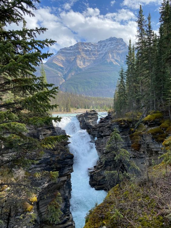 Photo Of Athabasca Falls In Alberta Canada Free Stock Photo photo-of-athabasca-falls-in-alberta-canada-free-stock-photo