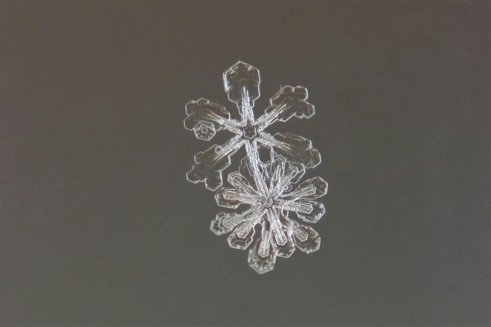 Close-up of Snowflakes