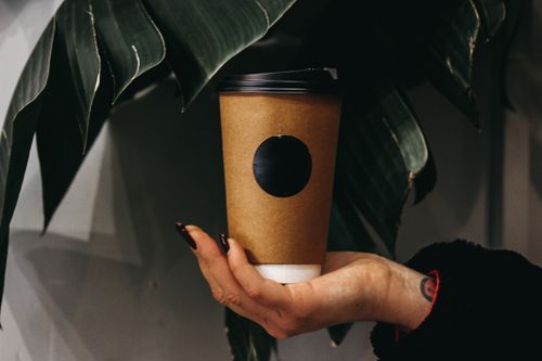 Free Woman's hand holding a coffee cup with a minimalist black circle design in front of dark leaves. Stock Photo