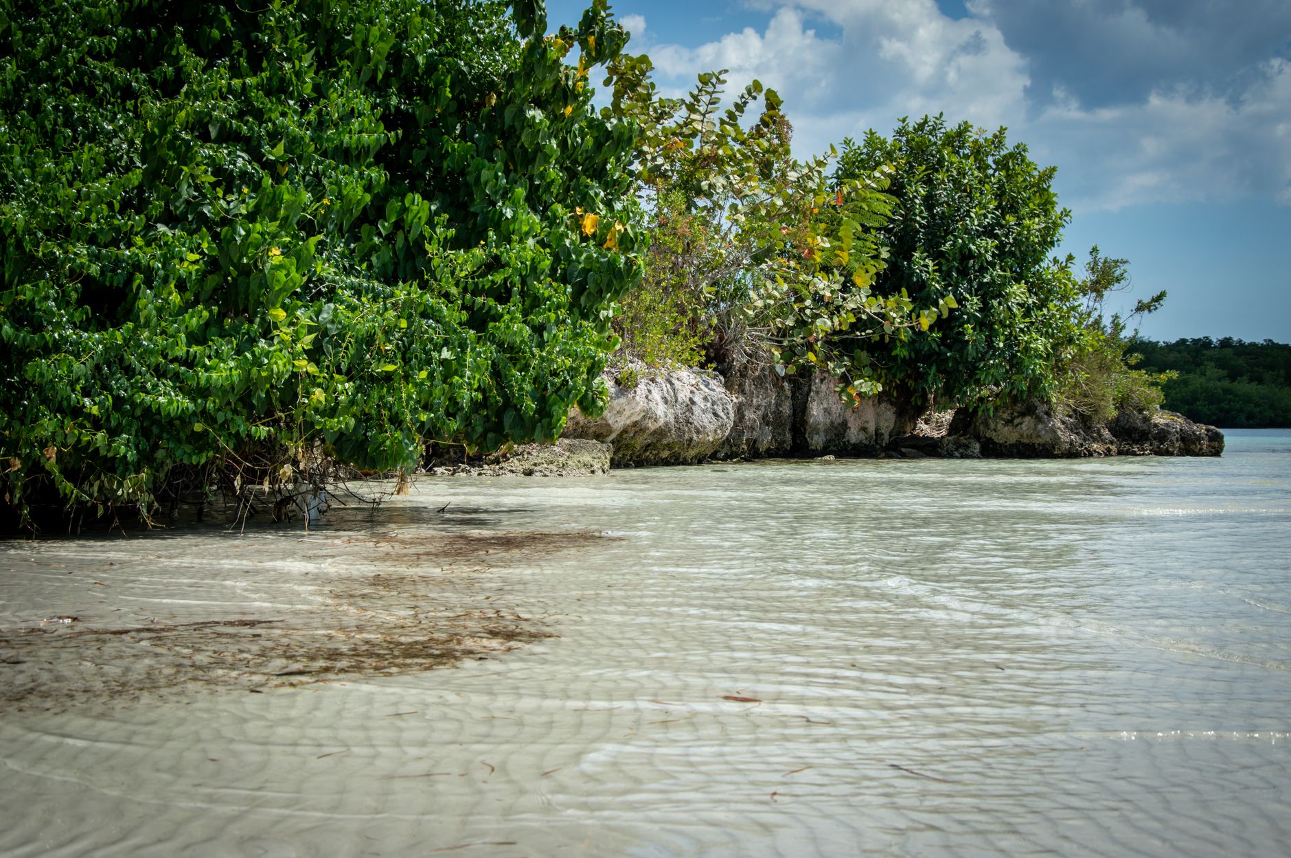 Scenic view of a tranquil beach with lush greenery and clear shallow waters under a bright blue sky.