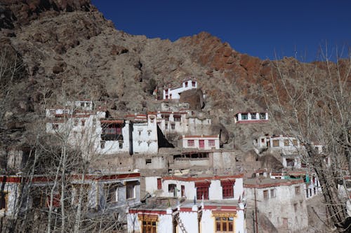 Foto profissional grátis de ladakh