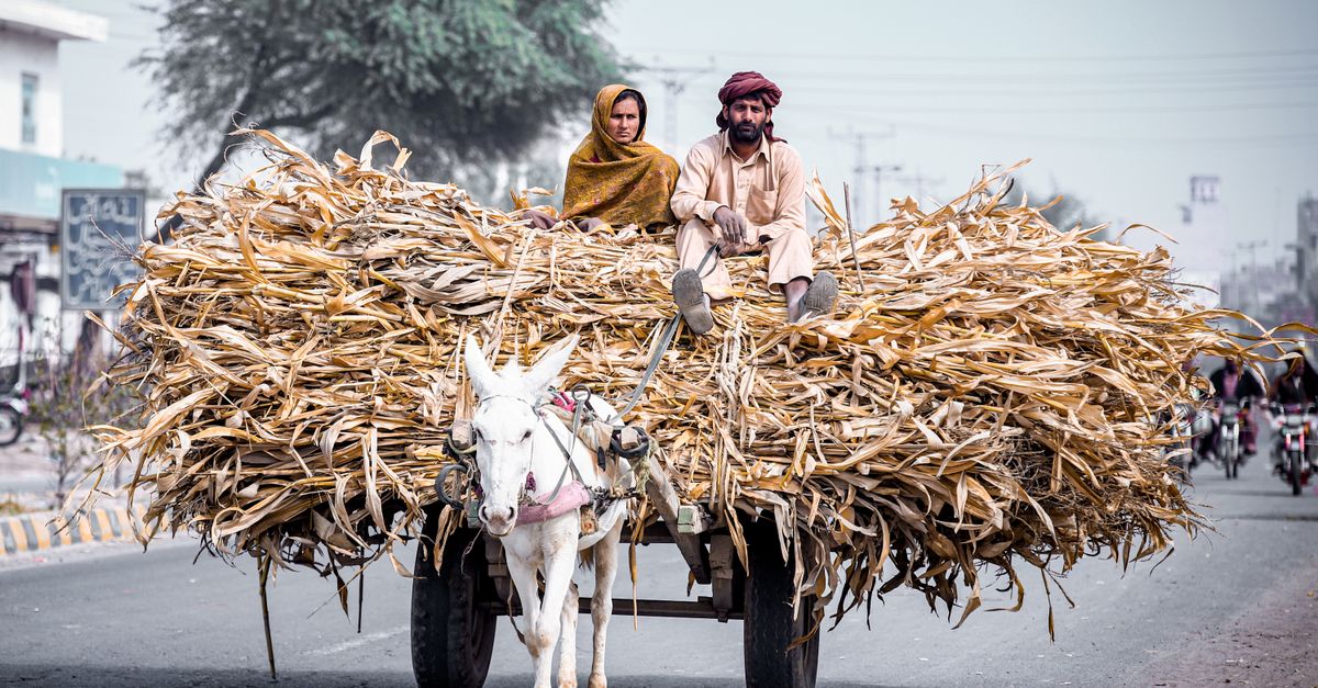 Photo of Pakistan