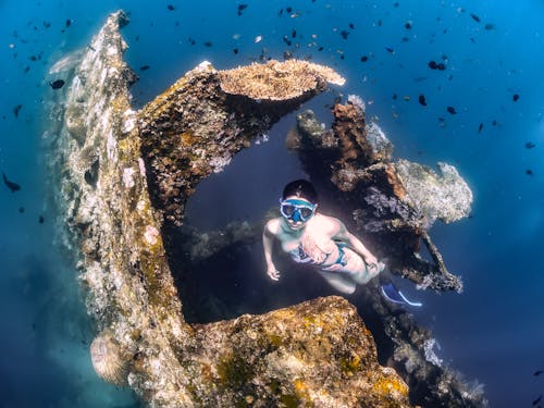 Immagine gratuita di apnea, bali, marino