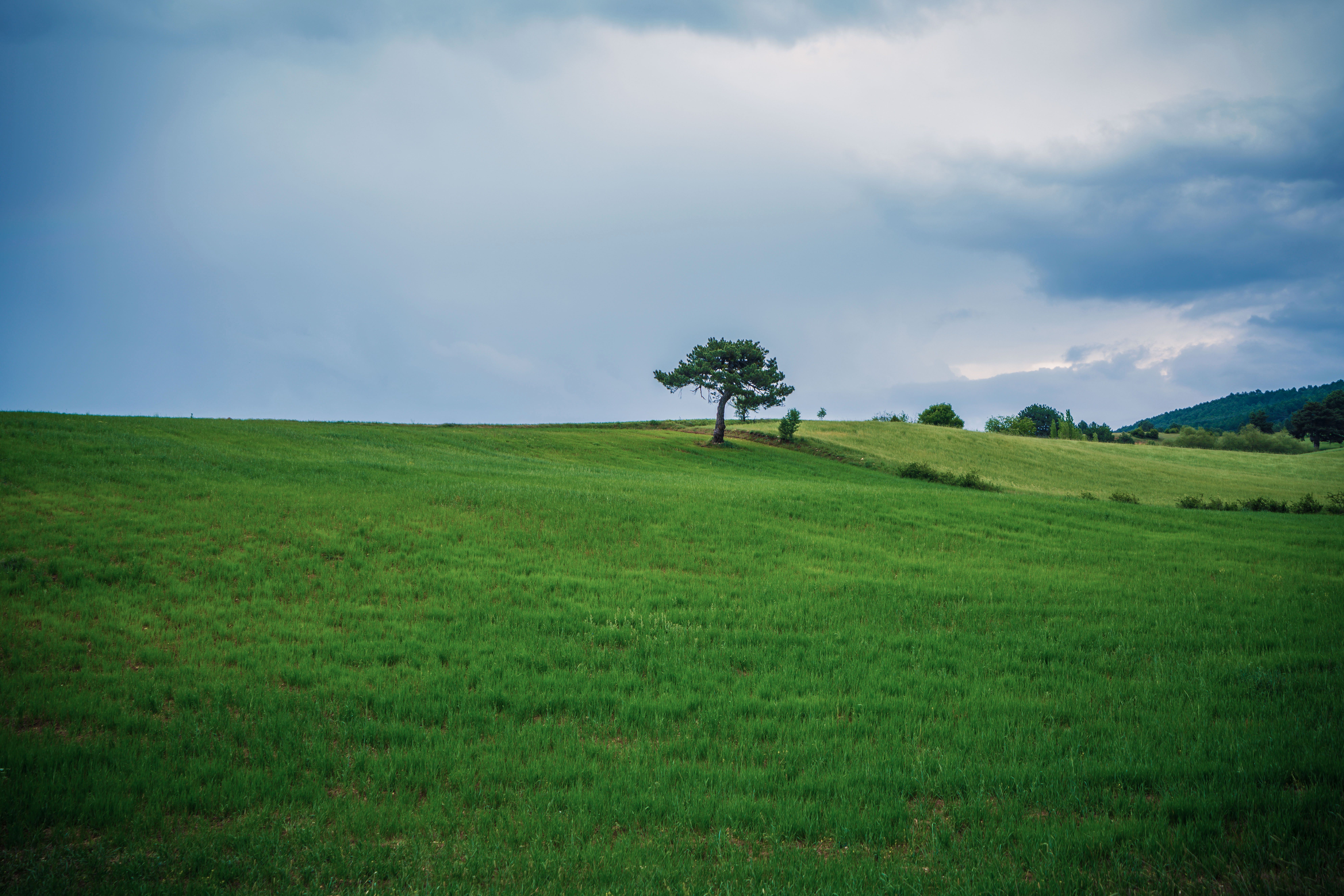 A Green Grass Field under a Cloudy Sky · Free Stock Photo