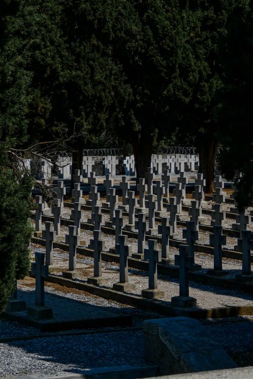 Free Peaceful cemetery scene with rows of stone crosses casting long shadows under tall trees. Stock Photo