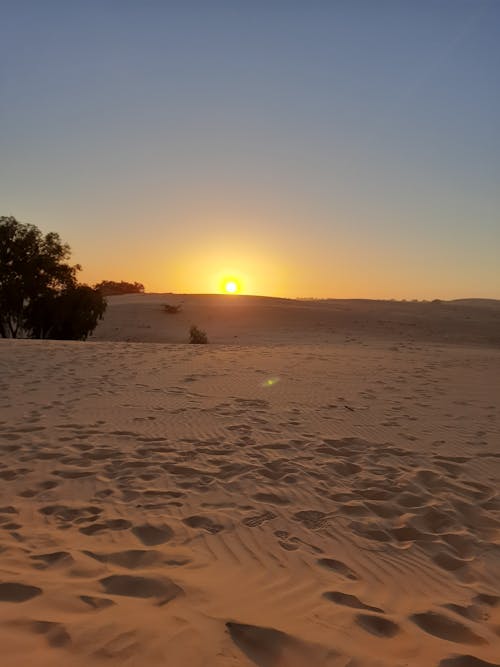 Gratis stockfoto met Afrika, mooie lucht, mooie zonsondergang