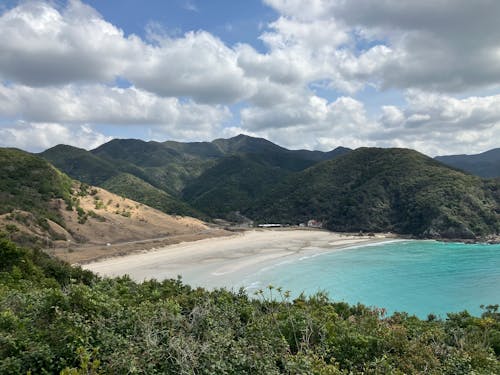 Foto profissional grátis de árvores, baía, cenário