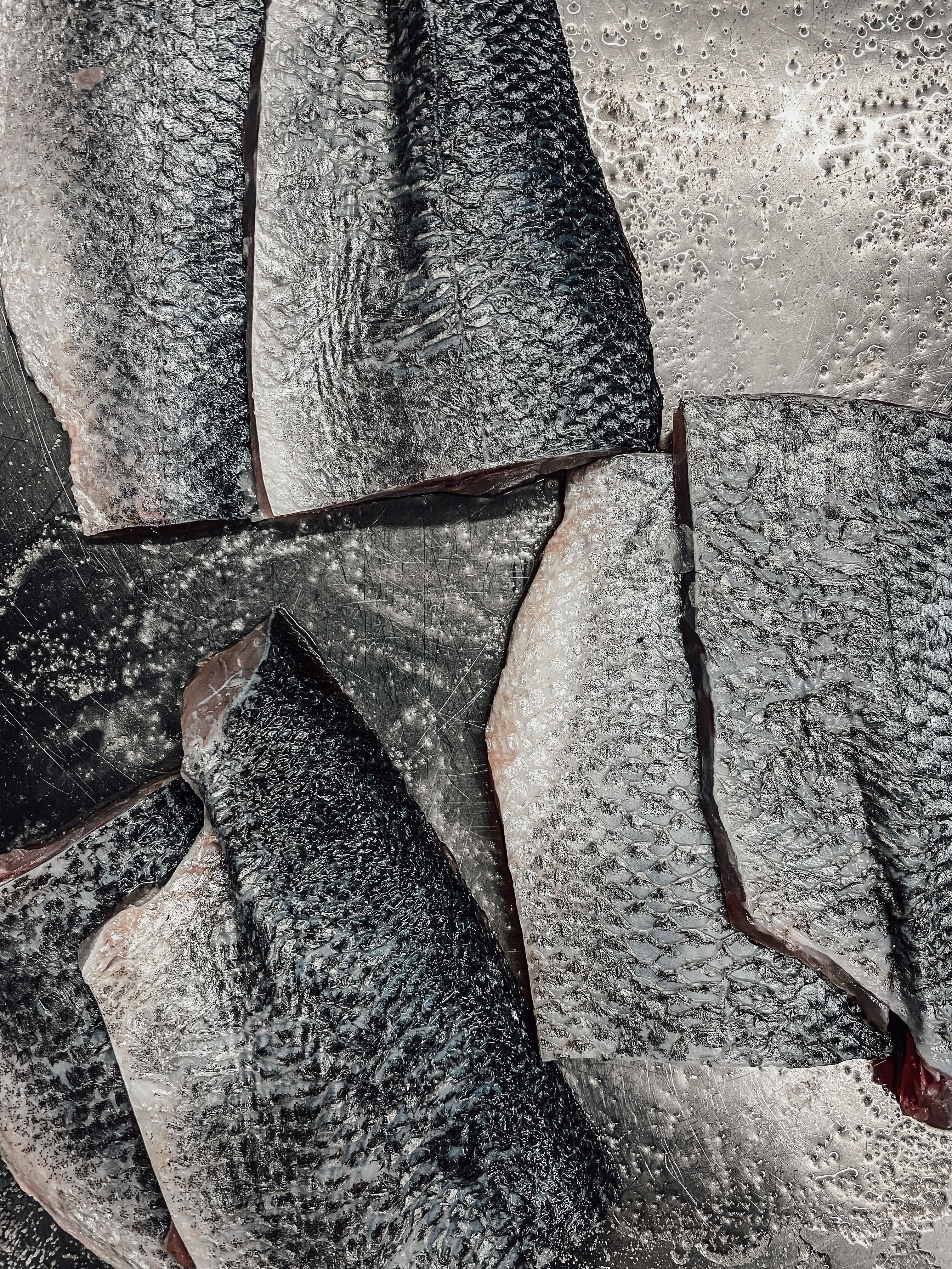 Fresh raw fish fillets