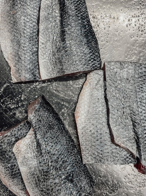 Close up of Raw Fish 
