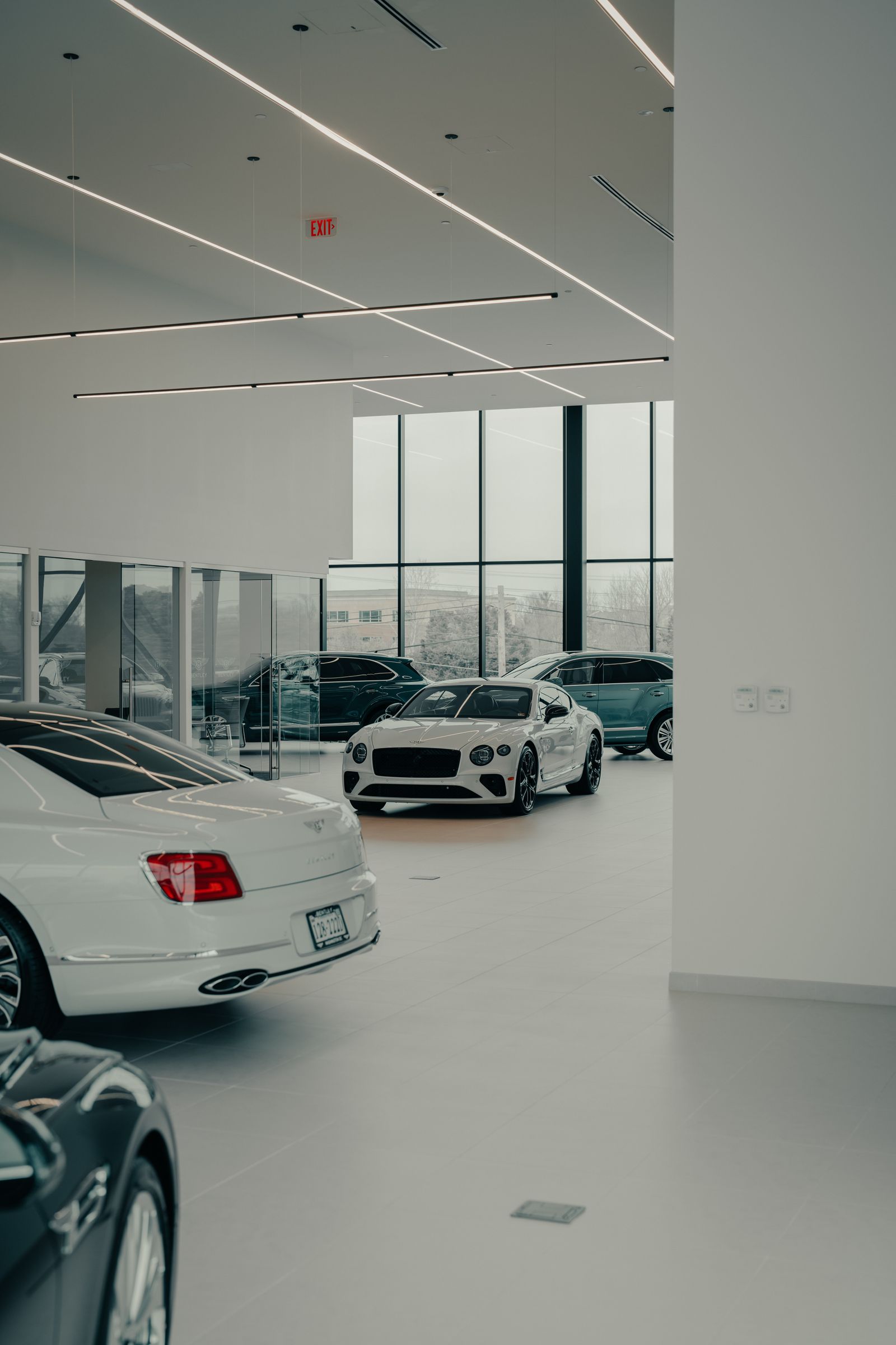 New cars on display inside a bright, contemporary showroom