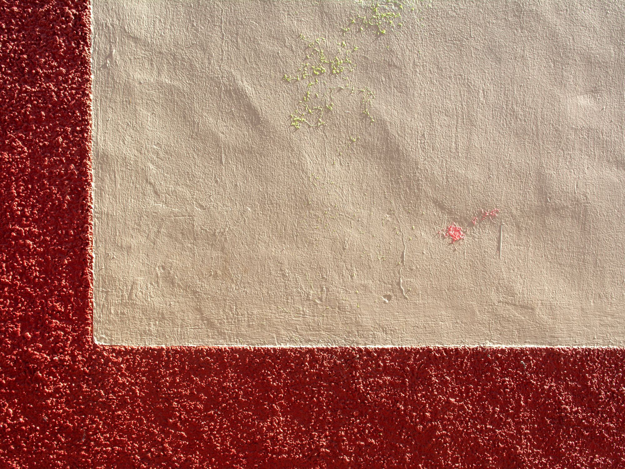 Painters & Decorators in West Heath, London — professional decorator painting a wall with a roller