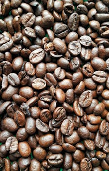 A detailed close-up of roasted coffee beans showcasing rich textures and colors.