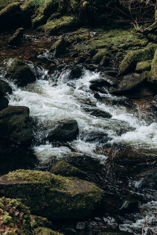 A Fast Flowing Rocky Stream 