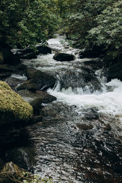 Free A peaceful waterfall gently flowing through a lush forest with rocks and greenery. Stock Photo