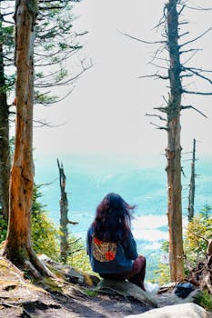 A person sitting in nature, enjoying a peaceful mountain view surrounded by trees.