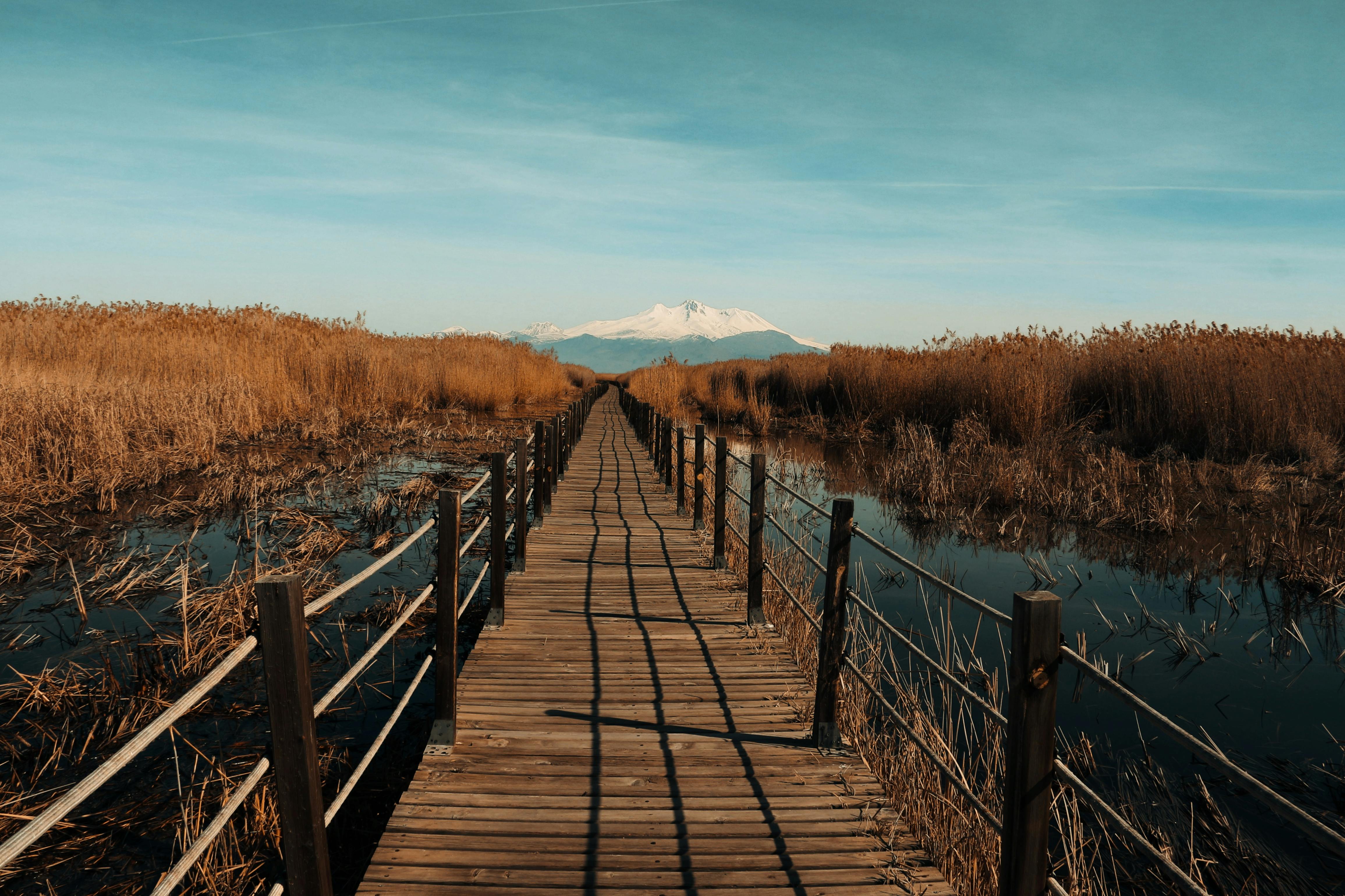 Els millors parcs naturals per a eixir a la Comunitat Valenciana