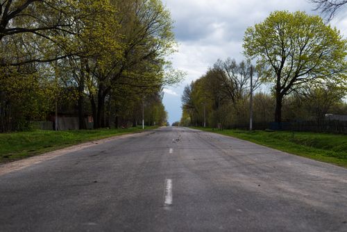 Free A long, empty road bordered by lush trees in a peaceful spring countryside setting. Stock Photo