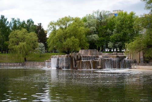 Gratis lagerfoto af dam, park, sommer