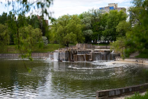 Gratis lagerfoto af dam, park, springvand
