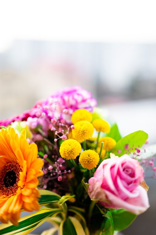 Free A colorful bouquet featuring roses and daisies in vibrant spring colors, perfect for brightening any space. Stock Photo