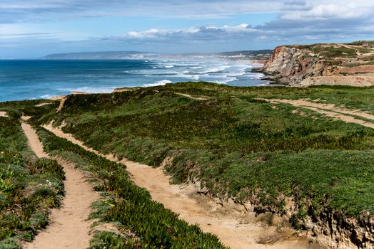 Explore the breathtaking coastal pathways with stunning cliffside views and ocean waves.