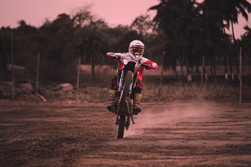 Foto d'estoc gratuïta de arbres, capvespre, ciclista