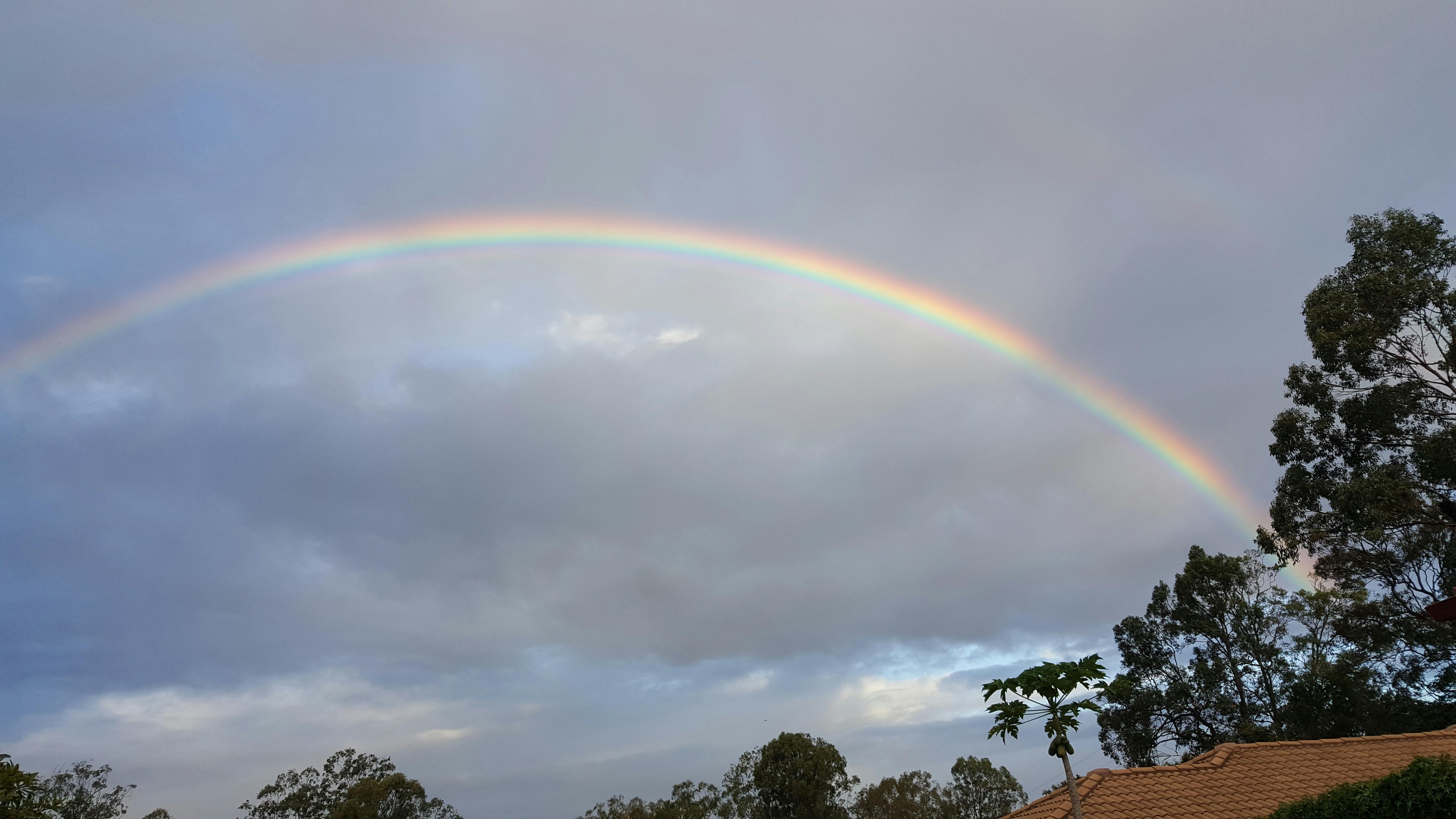 하이난 박물관 (Pexels 무료)