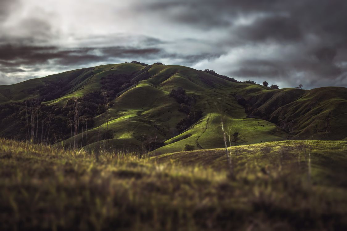 Rain Clouds Over Green Hills Free Stock Photo rain-clouds-over-green-hills-free-stock-photo