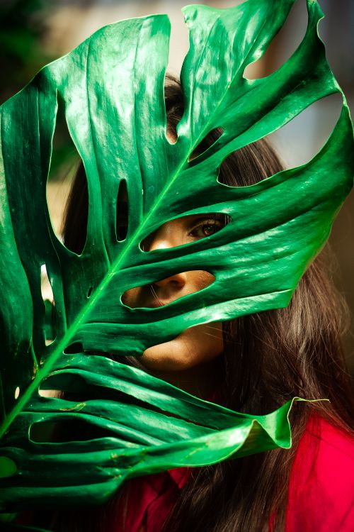 Free A woman gazes through a verdant monstera leaf, creating a mysterious and tropical vibe. Stock Photo