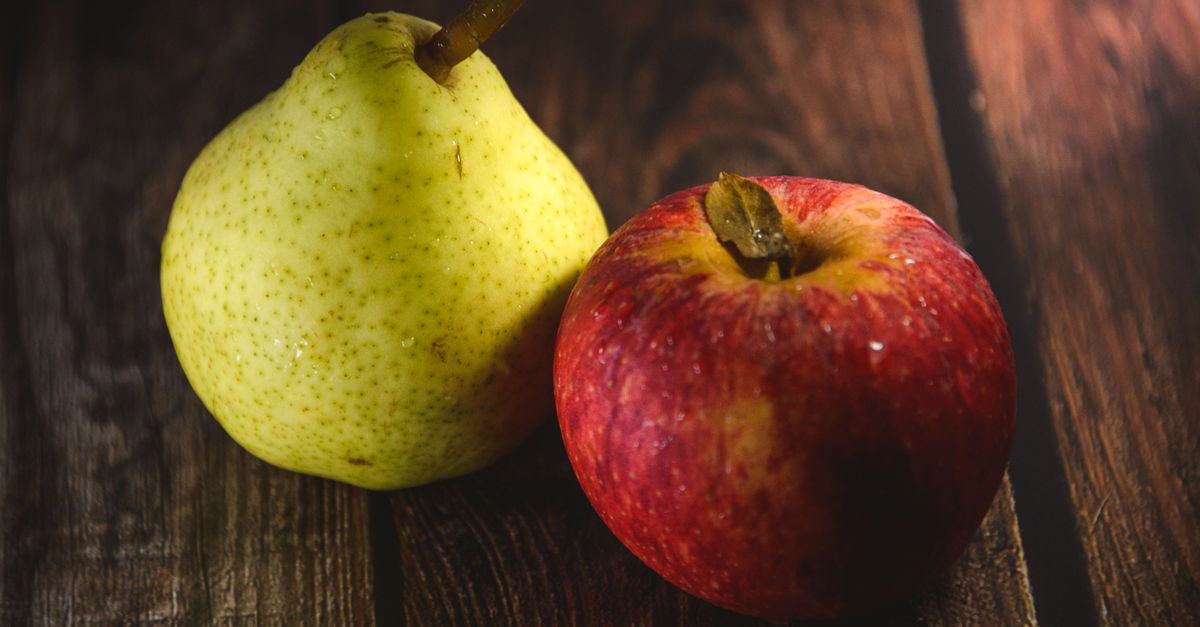 Guide complet des fruits de saison à ne pas manquer
