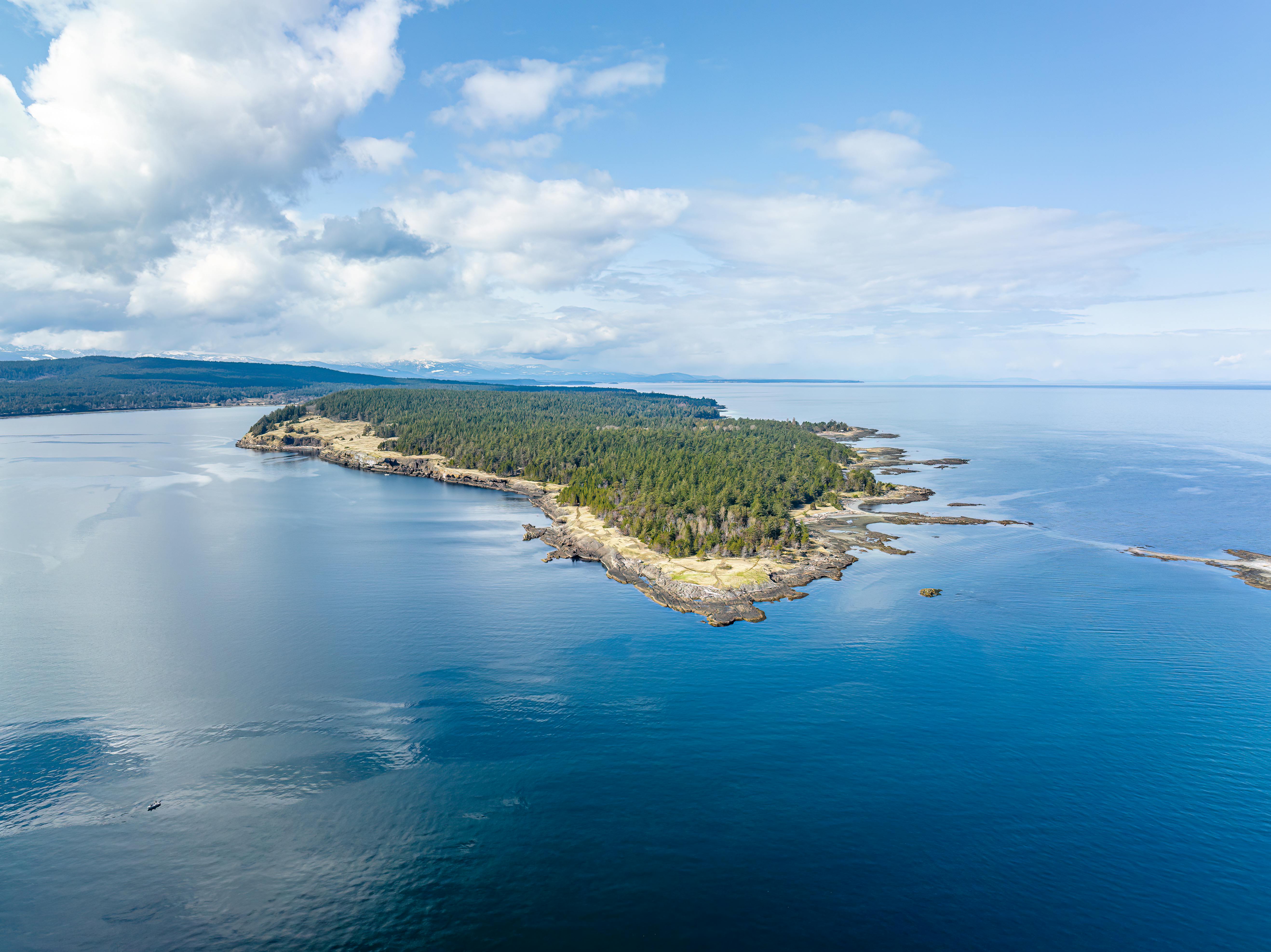 Gratuit Photos gratuites de @extérieur, amérique du nord, arbres Photos