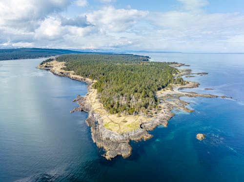 Rocks and Forest on Sea Shore