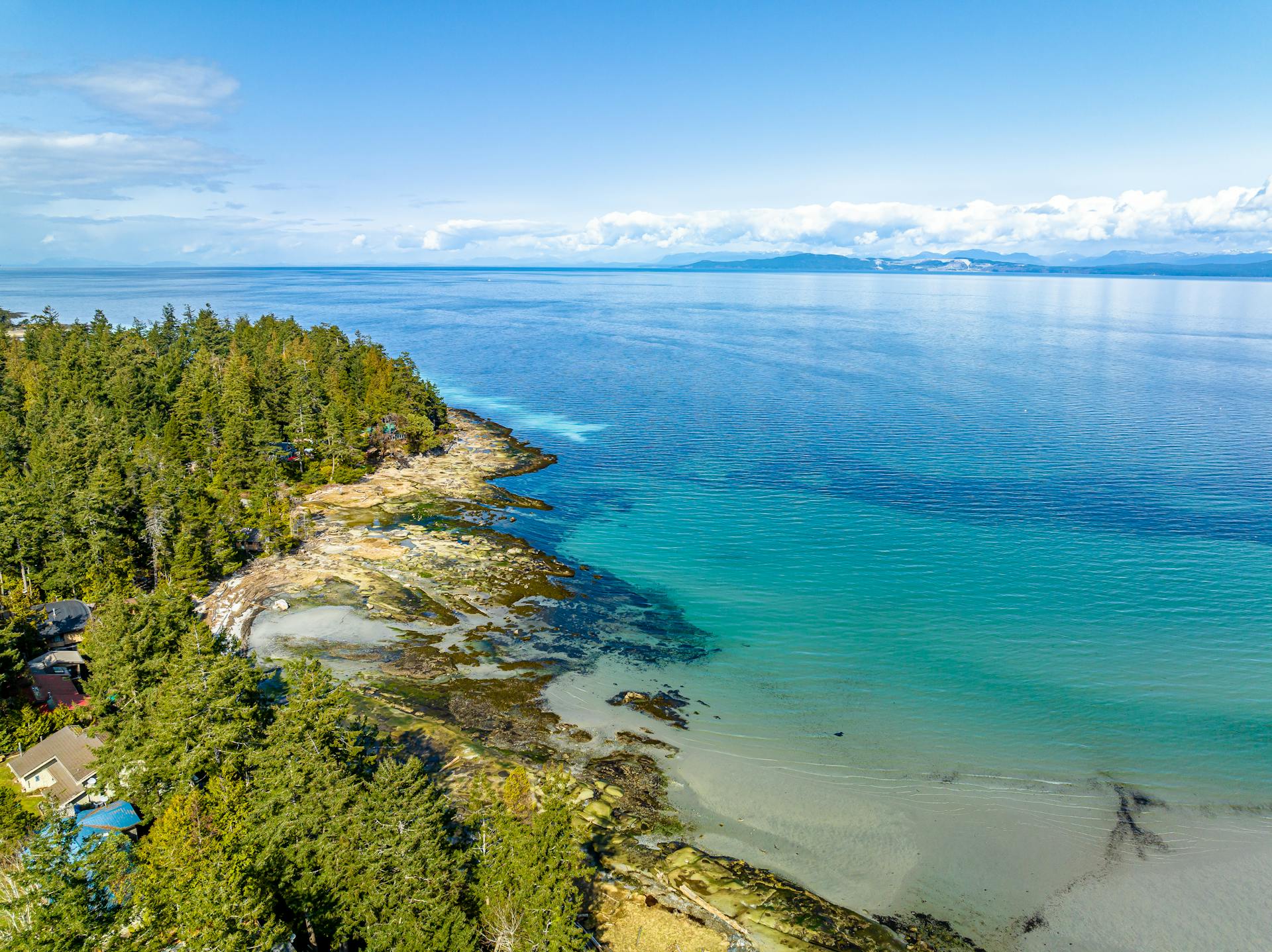 Stunning aerial view of Hornby Island's coastline in British Columbia, Canada, showcasing clear blue waters and lush forests.